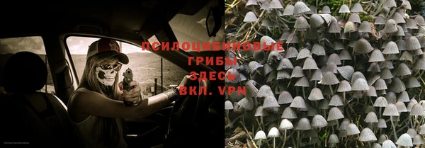 спиды Красноперекопск