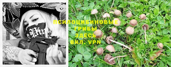 амф Краснотурьинск