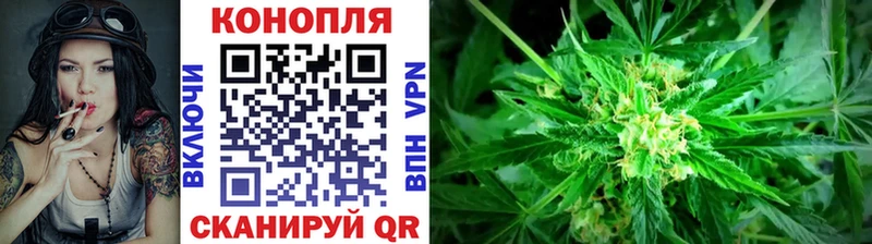 Купить  Злынка  Конопля семена 